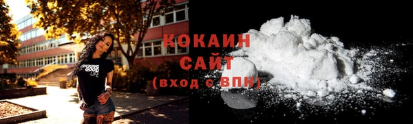 дмт Дмитровск