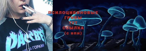 дмт Дмитровск