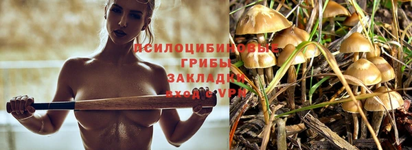 дмт Дмитровск