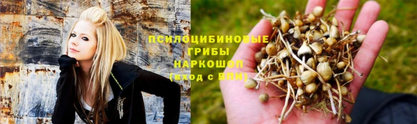 кристаллы Дмитров
