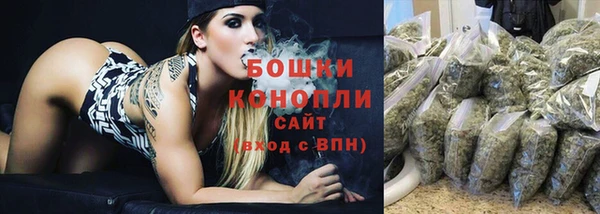 дмт Дмитровск
